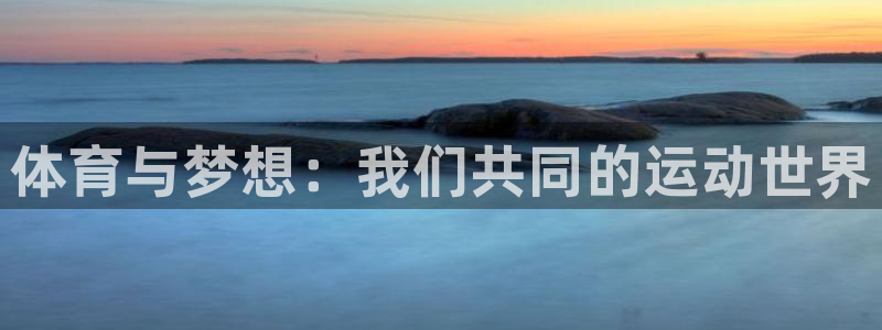 vsport体育官方正版app娱乐下载：体育与梦想：