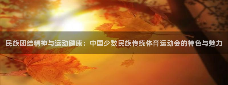 vsport体育官网下载娱乐：民族团结精神与运动健康