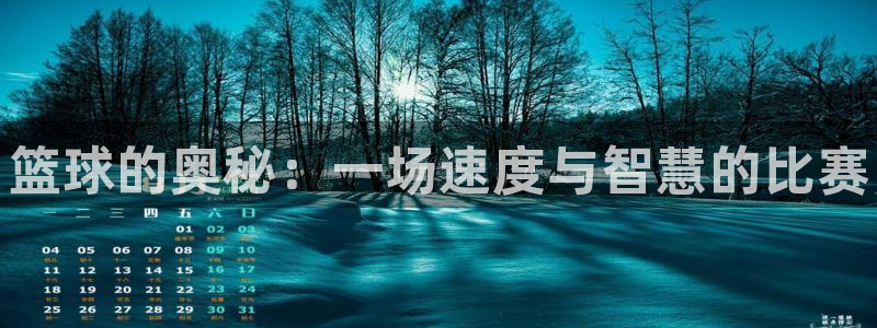 vsport体育官方正版app娱乐：篮球的奥秘：一场速度与智