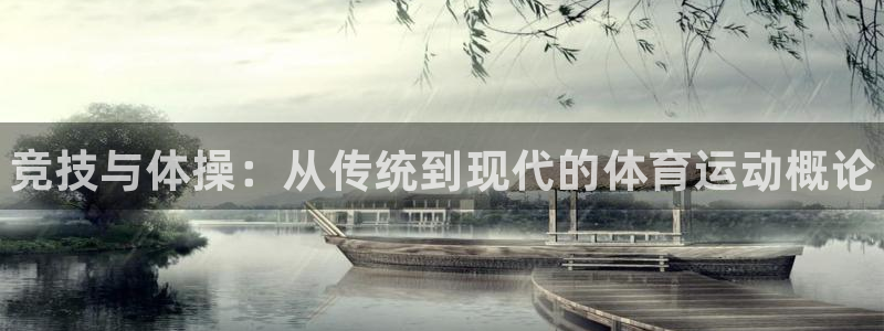 vsport体育官方正版app集团官网网址