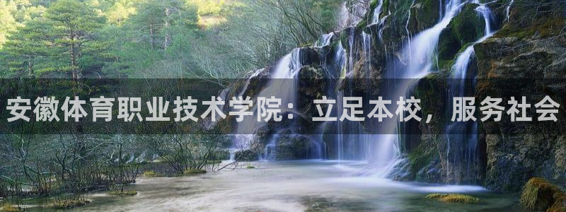 vsport体育官网下载招商电话是多少啊