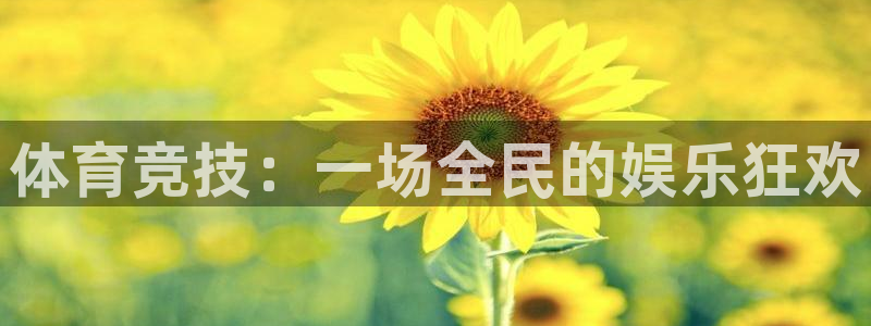 vsport体育官方正版app集团logo：体育竞技