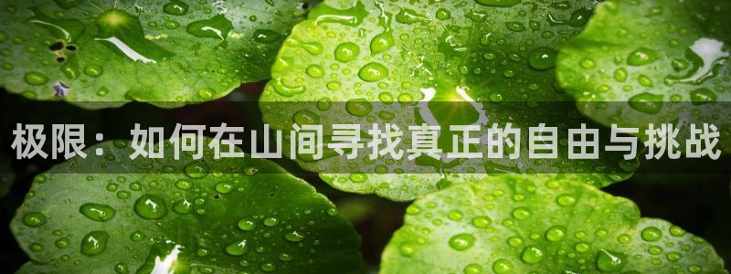 vsport体育官方正版app娱乐：极限：如何在山间寻找真正