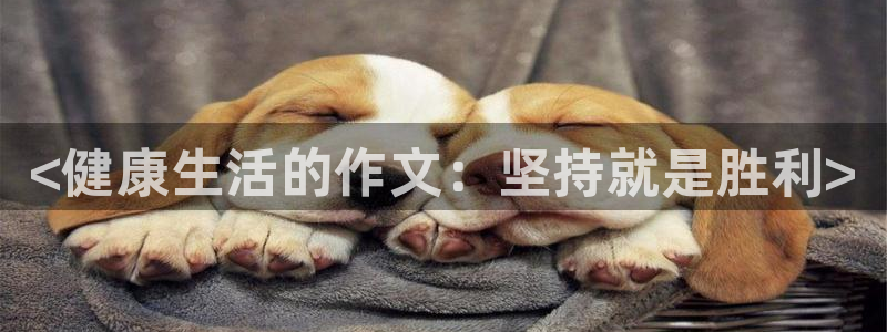 vsport体育官方正版app官网：<健康生活的作文：坚持就
