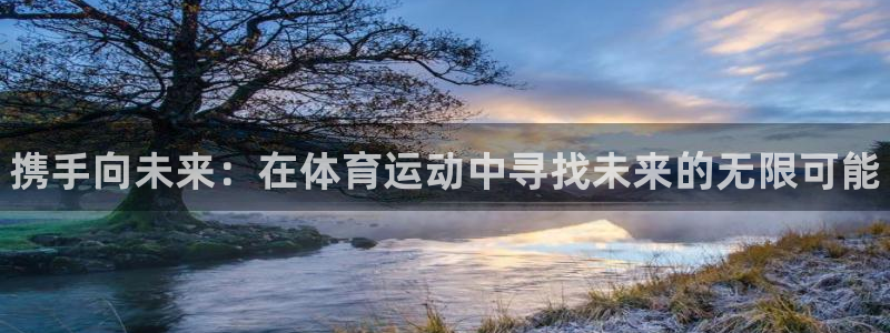 vsport体育官网下载招商电话：携手向未来：在体育运动中寻