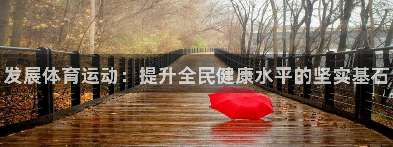 vsport体育官网下载平台是正规平台吗知乎：发展体