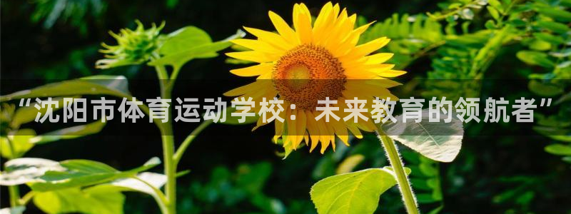 vsport体育官方正版app官网：“沈阳市体育运动学校：未