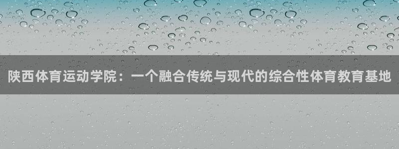 vsport体育官方正版app集团logo：陕西体育运动学院