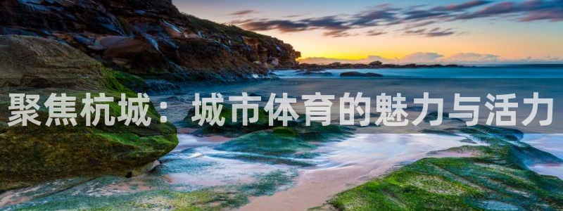 海南vsport体育官网下载发展怎么样：聚焦杭城：城