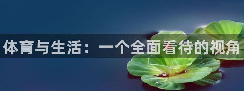 vsport体育官方正版app集团E.ON：体育与生