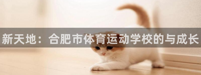 vsport体育官网下载平台是正规平台吗安全吗：新天
