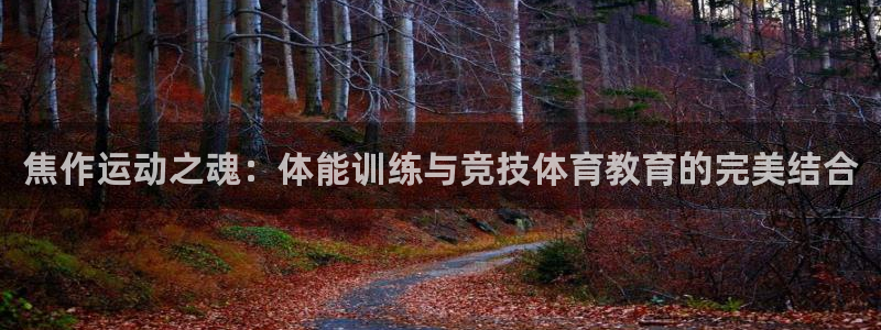 vsport体育官网下载招商电话地址：焦作运动之魂：