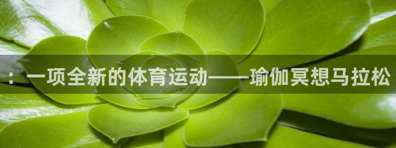 vsport体育官方正版app官网