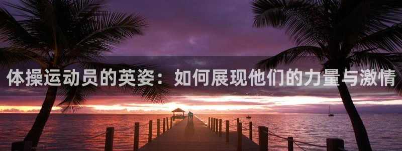vsport体育官网下载平台APP：体操运动员的英姿：如何展