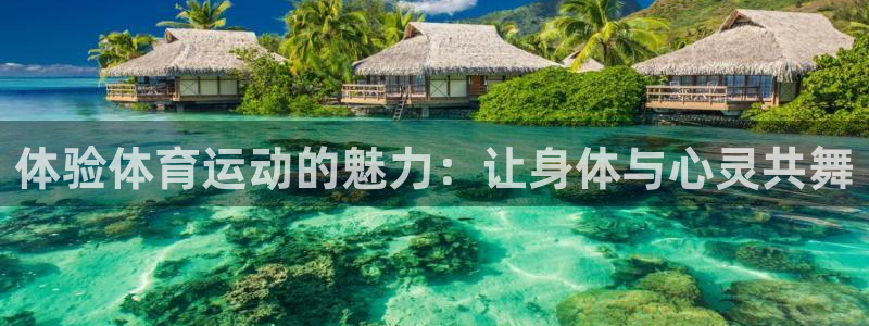 vsport体育官网下载招商电话地址：体验体育运动的