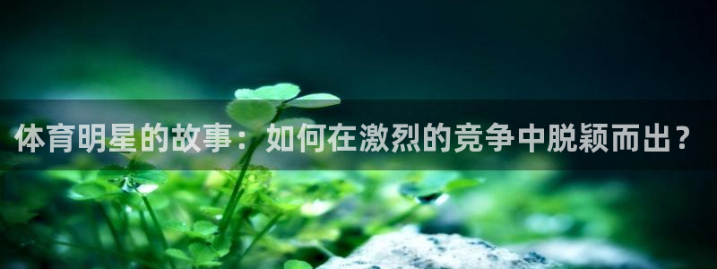 vsport体育官网下载平台注册要钱吗是真的吗：体育明星的故