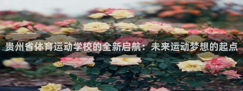 vsport体育官网下载：贵州省体育运动学校的全新启航：未来