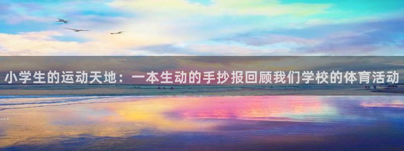 vsport体育官方正版app神州：小学生的运动天地：一本生