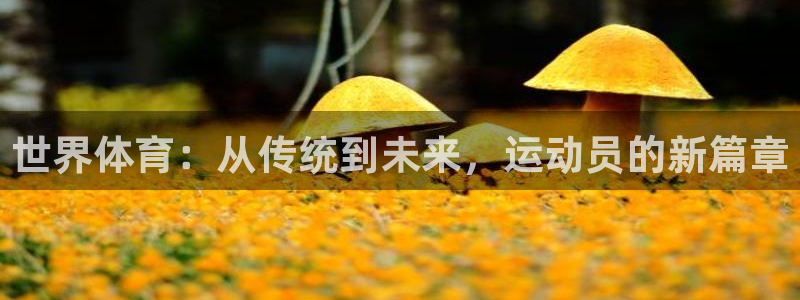 vsport体育官网下载招商电话地址：世界体育：从传统到未来