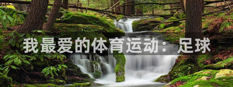 vsport体育官网下载平台是正规平台吗：我最爱的体