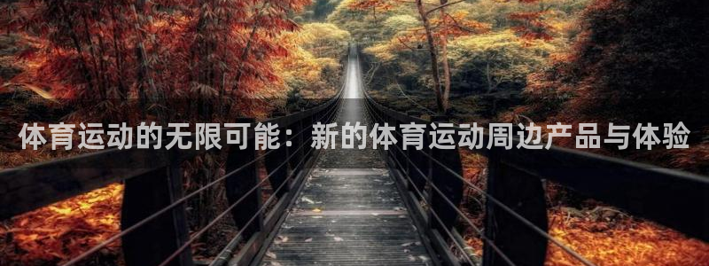 vsport体育官网下载平台注册流程图：体育运动的无