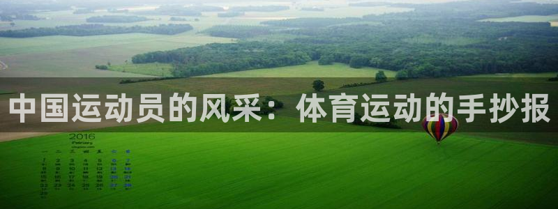 德国vsport体育官方正版app集团