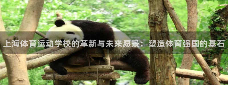 vsport体育官方正版app集团logo：上海体育