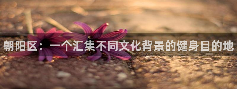 vsport体育官网下载招商电话号码查询是多少：朝阳区：一个